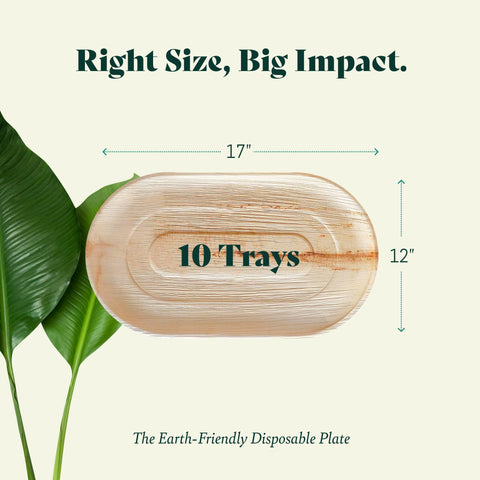 Chic Leaf Palm Leaf Trays – 10 Pack 22x12"