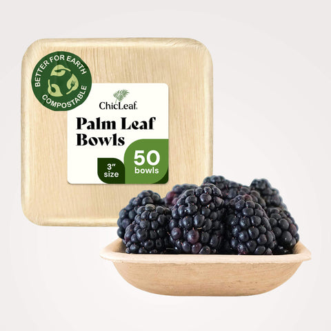 Compostable Palm Leaf Square Bowls for Parties Chic Leaf