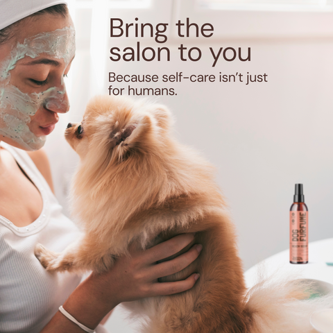 Sunny & Honey Dog Furfume: Dog Deodorizing Spray for Sensitive Skin (2-Pack)