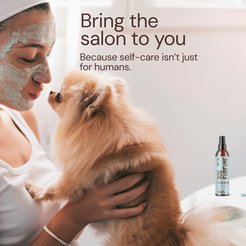 Sunny & Honey Dog Furfume: Dog Deodorizing Spray for Sensitive Skin (2-Pack)