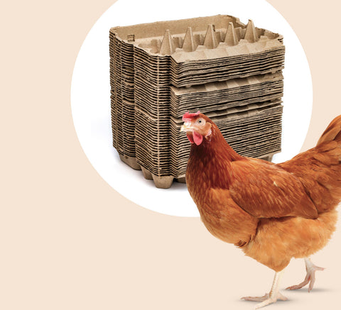 48 Egg Cartons