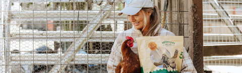 The Secret to Healthier, Happier Chickens!