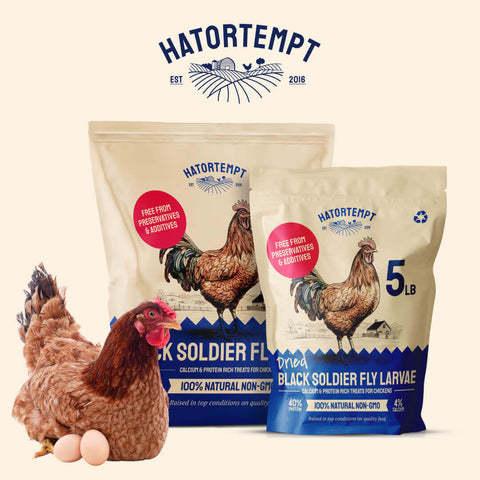 Two packages of Hatortempt Black Soldier Fly Larvae with a chicken and eggs on a beige background.