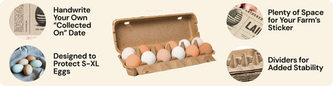Hatortempt's biodegradable egg carton with features highlighted on a beige background
