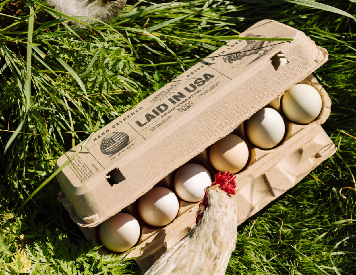 Carton of eggs with a chicken on grass, labeled 'Laid in USA' by Hatortempt.