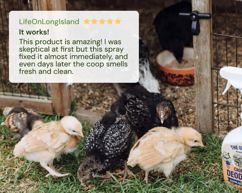 Chickens in a coop with a Hatortempt chicken coop spray and deodorizing bottle and a five-star review text overlay.