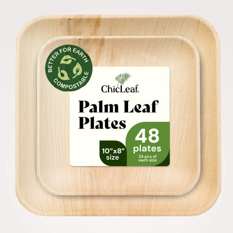 Square, Biodegradable Palm Leaf Plate (2-Set) Chic Leaf