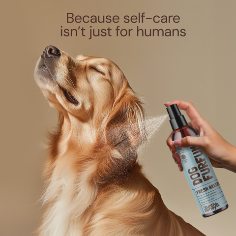 Sunny & Honey Dog Bathing Kit: Bath Time Freshness & Beyond