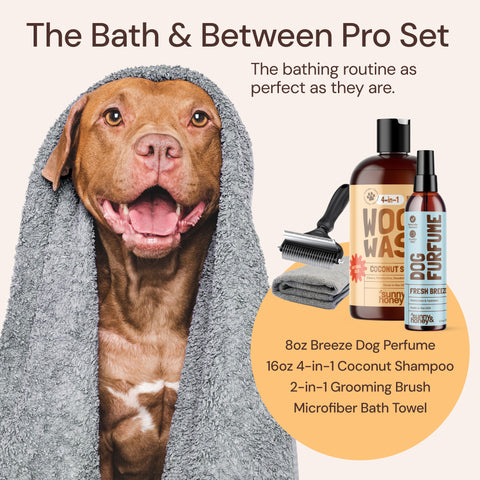 Sunny & Honey Dog Bathing Kit: Bath Time Freshness & Beyond