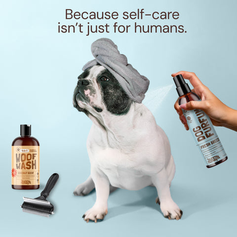 Sunny & Honey Dog Bathing Kit: Bath Time Freshness & Beyond
