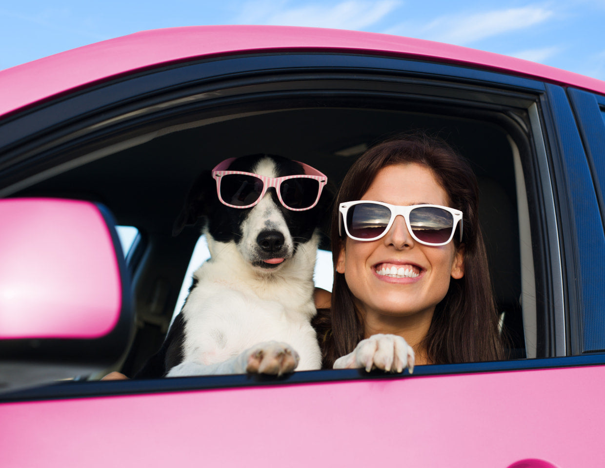 Woman and dog wearing sunglasses, looking out of a pink car window with a blue sky background