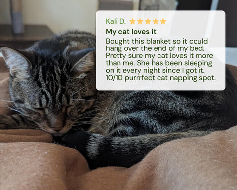 Cat sleeping on a Woolly Mammoth blanket with a five-star review displayed above it