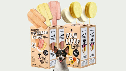 MalsiPree's freeze-dried treats for dogs.