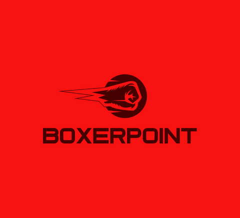 BoxerPoint