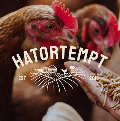 Logo for Hatortempt by GoNorth, a brand selling essential supplies for the coop and healthy chickens.