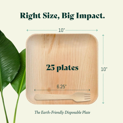 Square, Biodegradable Palm Leaf Party Plates (Bulk)