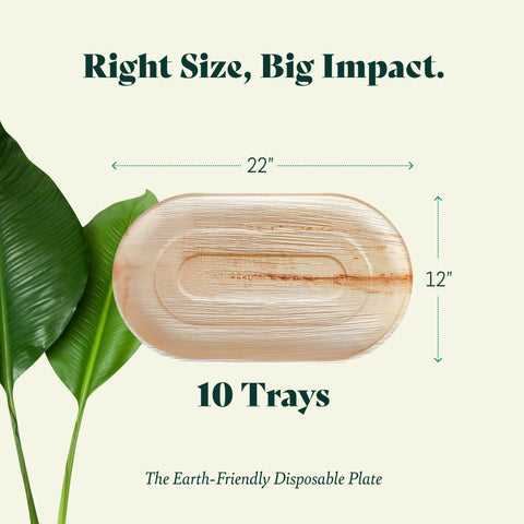 Palm Leaf Trays – 10 Pack 22" x 12"