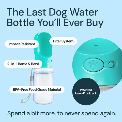 Dog Water Bottle With Bowl- 19oz