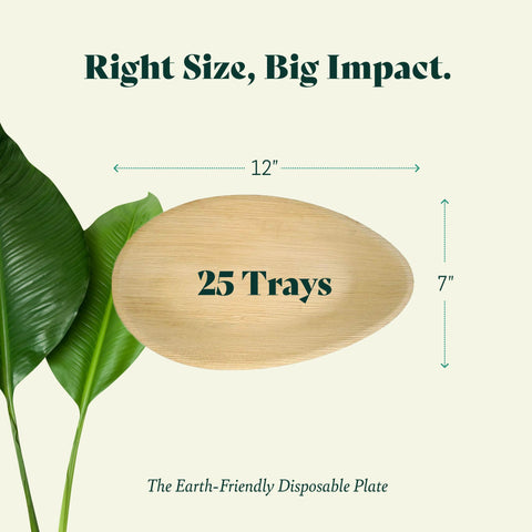 Palm Leaf Charcuterie Platters & Serving Trays