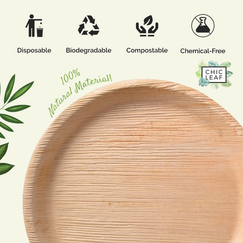 Palm Leaf Charcuterie Platters & Serving Trays