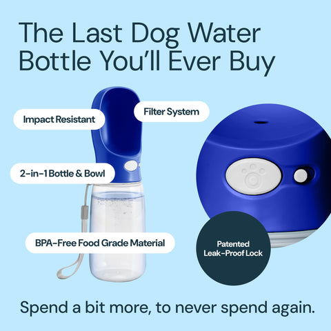 Dog Water Bottle With Bowl- 19oz