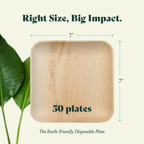 Square, Biodegradable Palm Leaf Party Plates (Bulk)