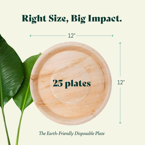 Palm Leaf Charcuterie Platters & Serving Trays