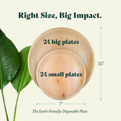 Palm Leaf Plates Bulk – 50 Pack 10"