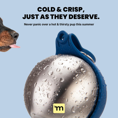 MalsiPree Canteen Dog Bowl GoNorth