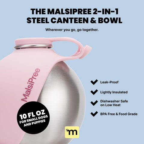 MalsiPree Canteen Dog Bowl GoNorth