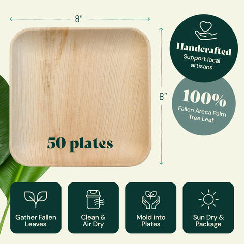 Square, Biodegradable Palm Leaf Party Plates (Bulk)