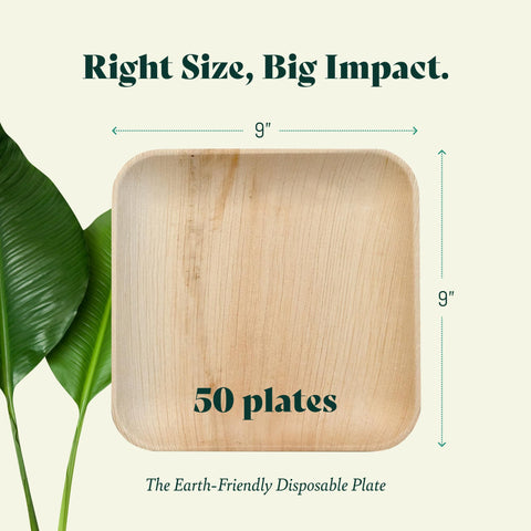 Square, Biodegradable Palm Leaf Party Plates (Bulk)