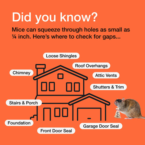 MaPorch Mice Control Steel Wool+ Gloves & Scissors