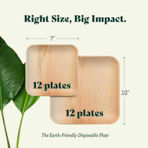 Square, Biodegradable Palm Leaf Plate (2-Set)