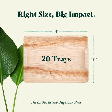 Palm Leaf Charcuterie Platters & Serving Trays
