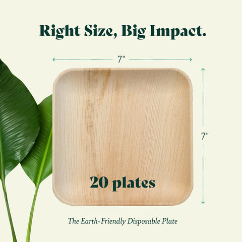 Square, Biodegradable Palm Leaf Party Plates (Bulk)