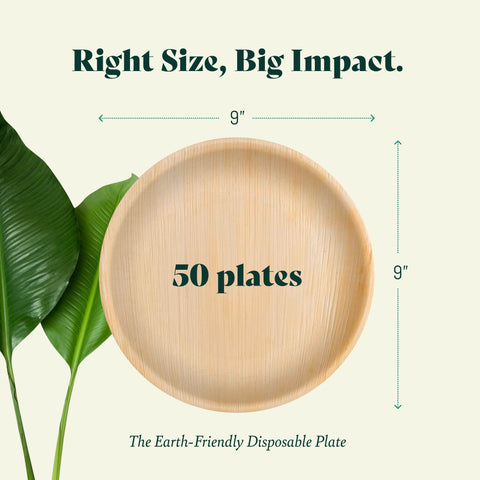 Round, Biodegradable Palm Leaf Party Plates (Bulk)