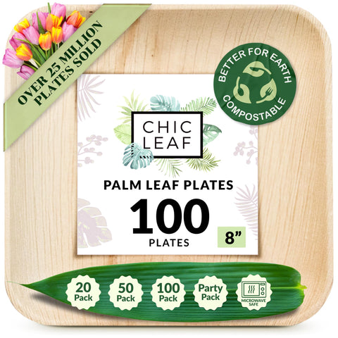 Square, Biodegradable Palm Leaf Party Plates (Bulk)