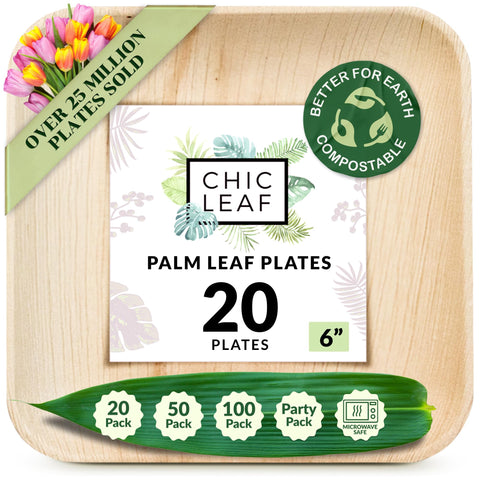 Square, Biodegradable Palm Leaf Party Plates (Bulk)