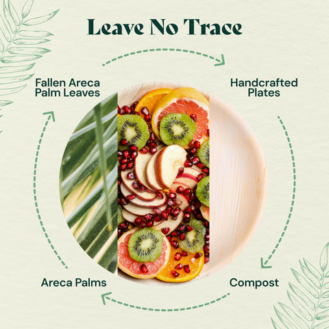 Compostable Palm Leaf Square Bowls for Parties