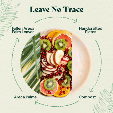 Square, Biodegradable Palm Leaf Plate (2-Set)