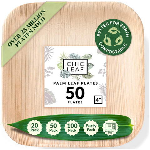 Square, Biodegradable Palm Leaf Plate (2-Set)