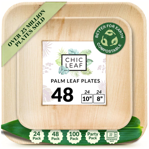 Square, Biodegradable Palm Leaf Plate (2-Set)