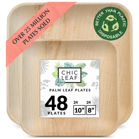 Square, Biodegradable Palm Leaf Plate (2-Set)