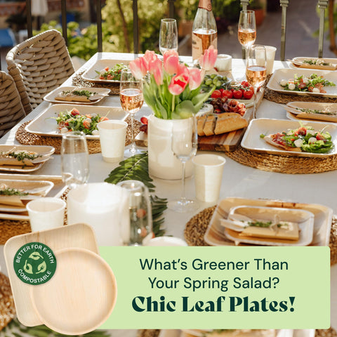 Square, Biodegradable Palm Leaf Party Plates (Bulk)