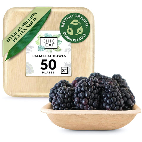 Compostable Palm Leaf Square Bowls for Parties