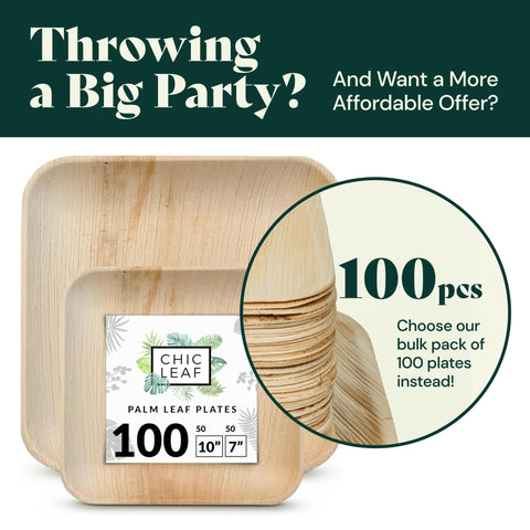 Palm Leaf Plates Bulk – 10" 7"