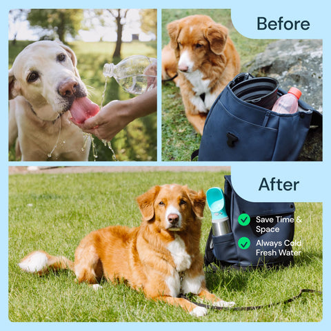 Insulated Dog Water Bottle- 24oz