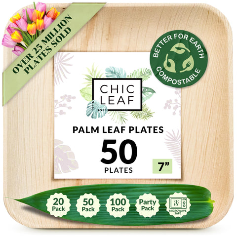 Square, Biodegradable Palm Leaf Party Plates (Bulk)
