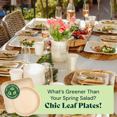 Round, Biodegradable Palm Leaf Party Plates (Bulk)